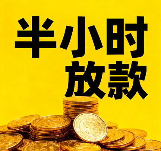 涞水应急短期借款，手续简单